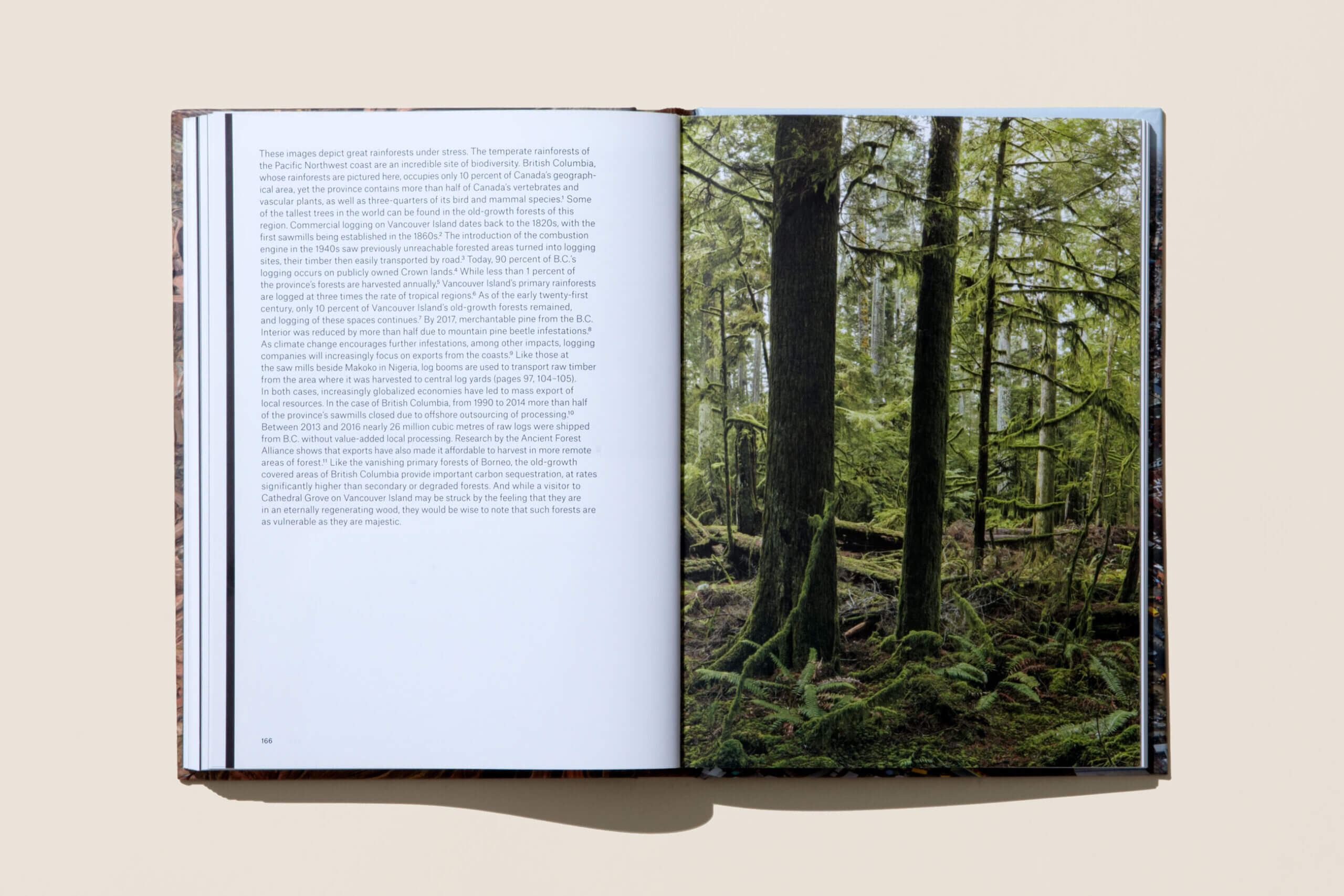 Incredible Shrink Art — Canopy Books