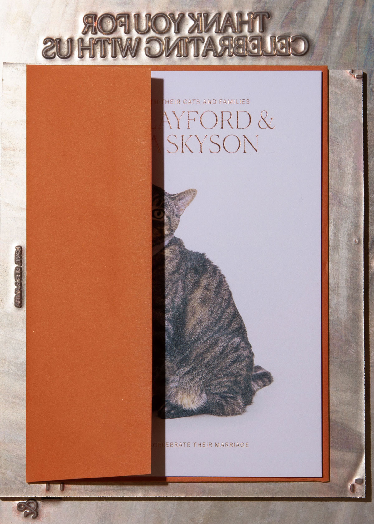 16_FARLEY-CAT-WEDDING-INVITE.-COLLABORATION-with-MARLEE-MACLEAN-2019