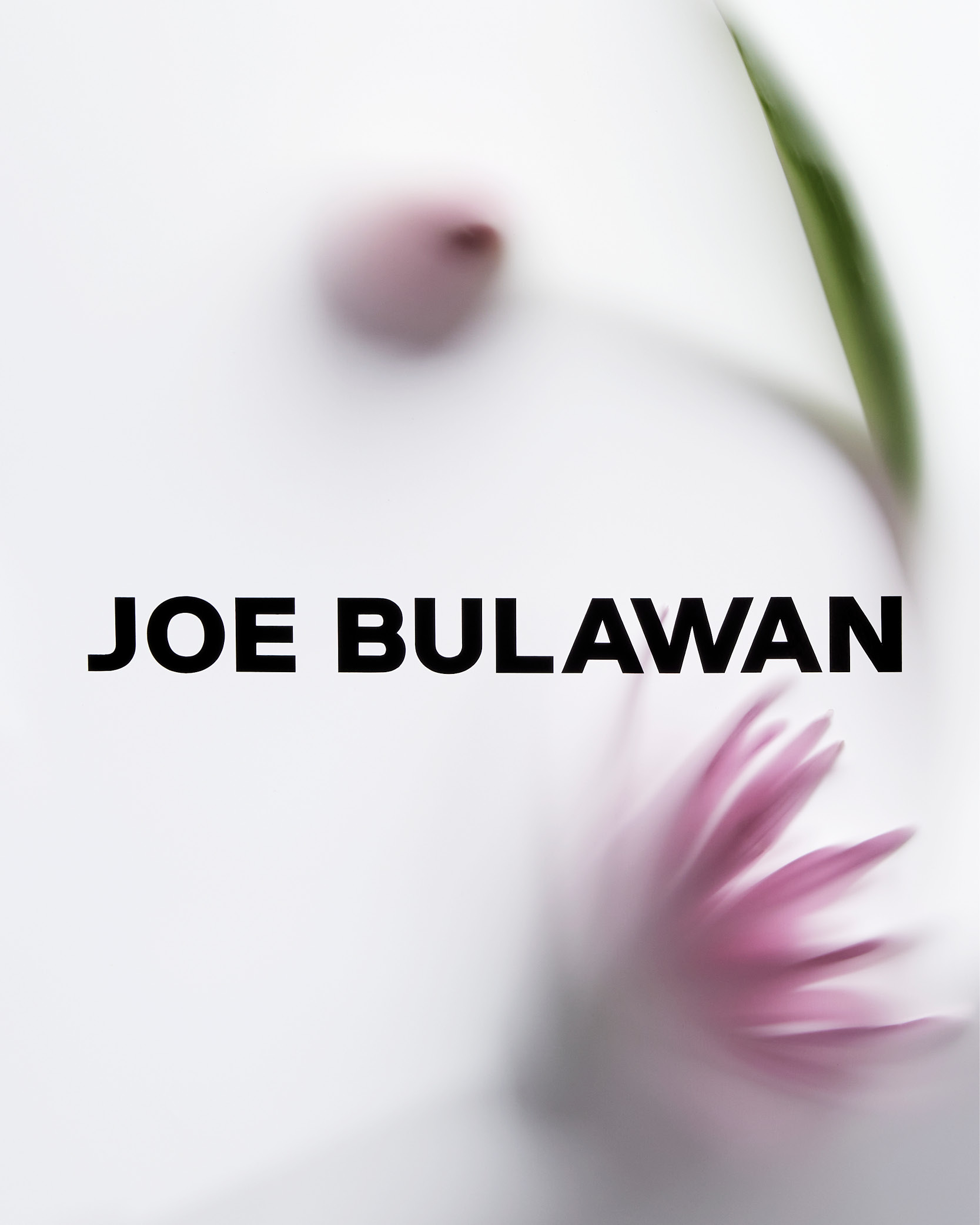 AlinaSkyson-JOE-BULAWAN-Branding_20