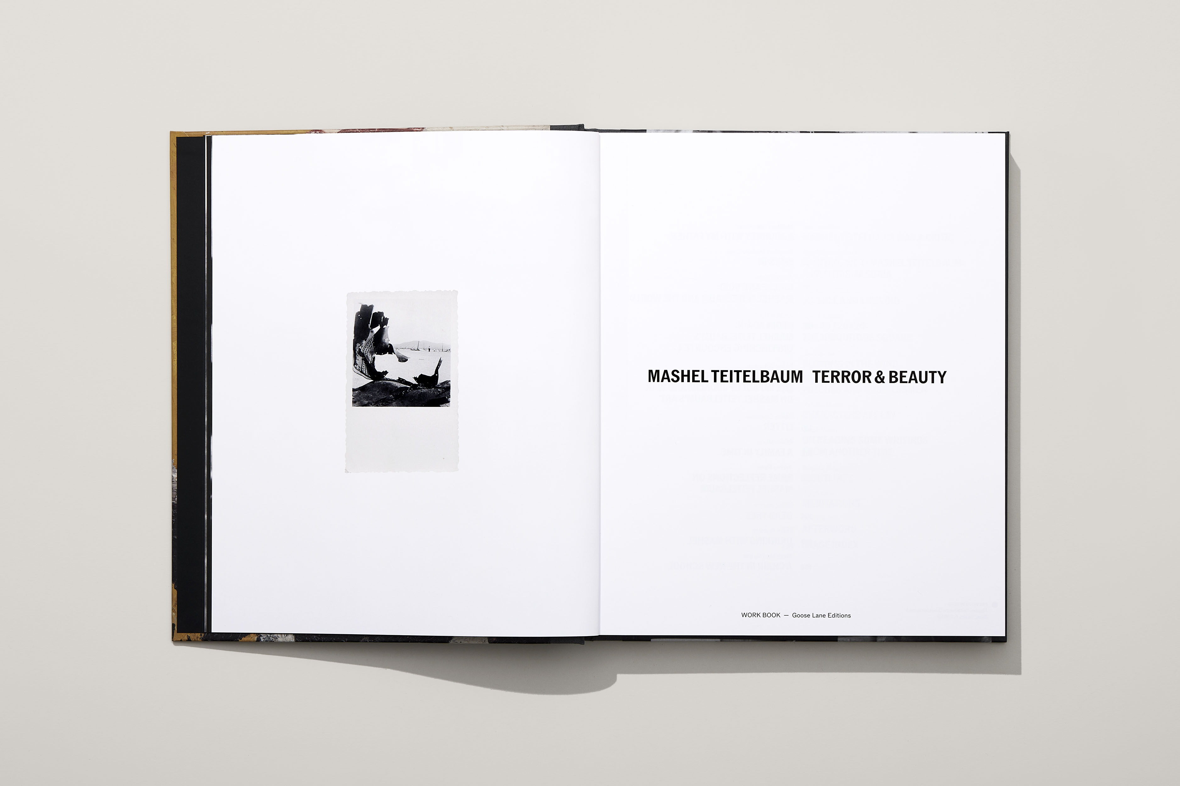 MashelTeitelbaum_Beauty&Terror_05