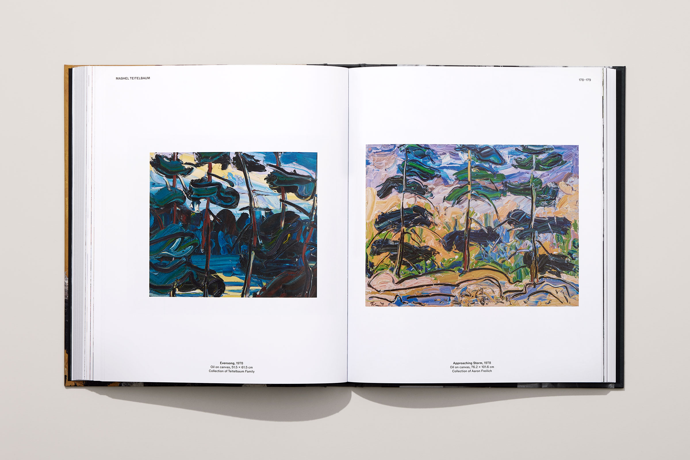 MashelTeitelbaum_Beauty&Terror_13