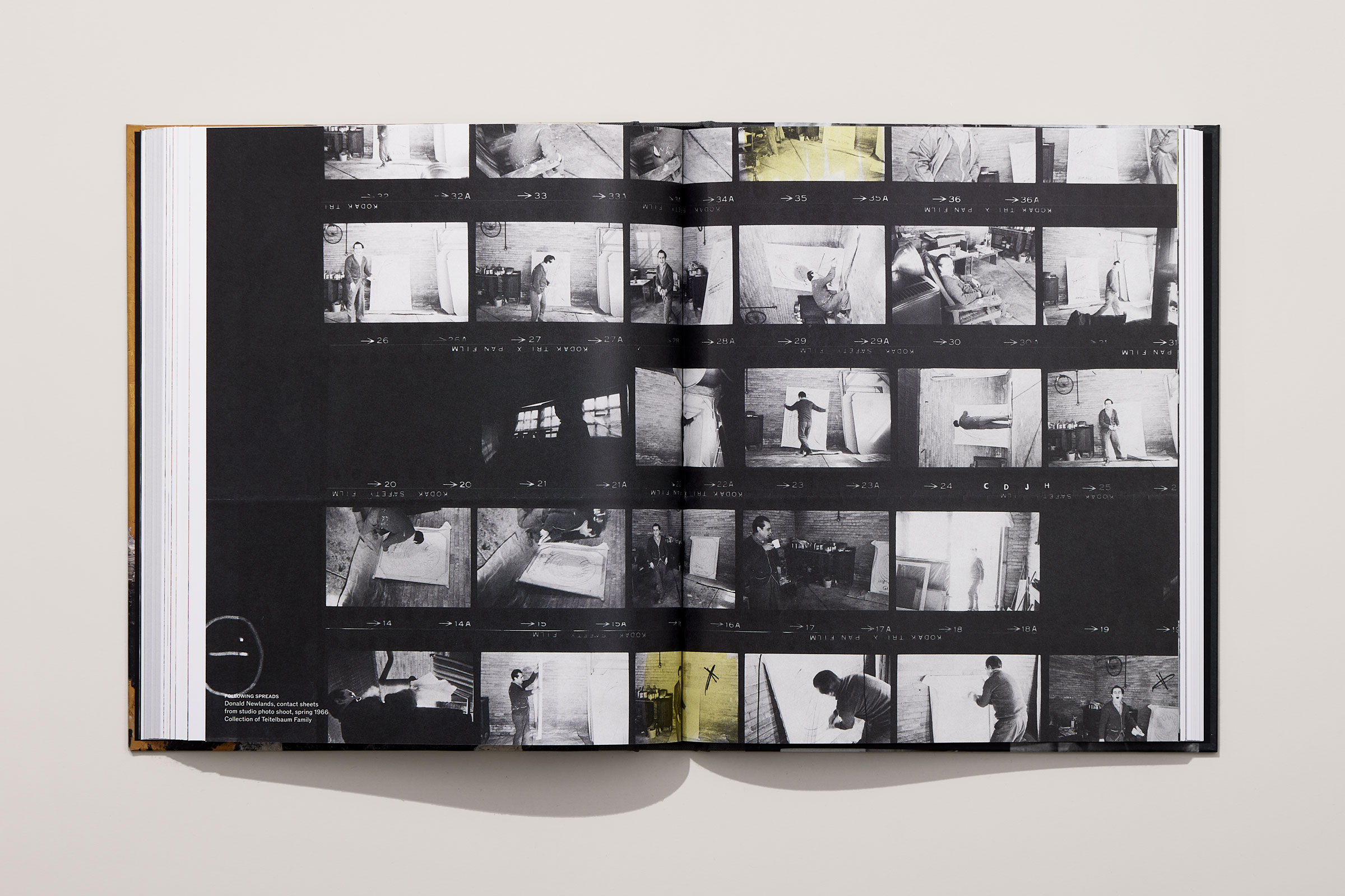 MashelTeitelbaum_Beauty&Terror_15