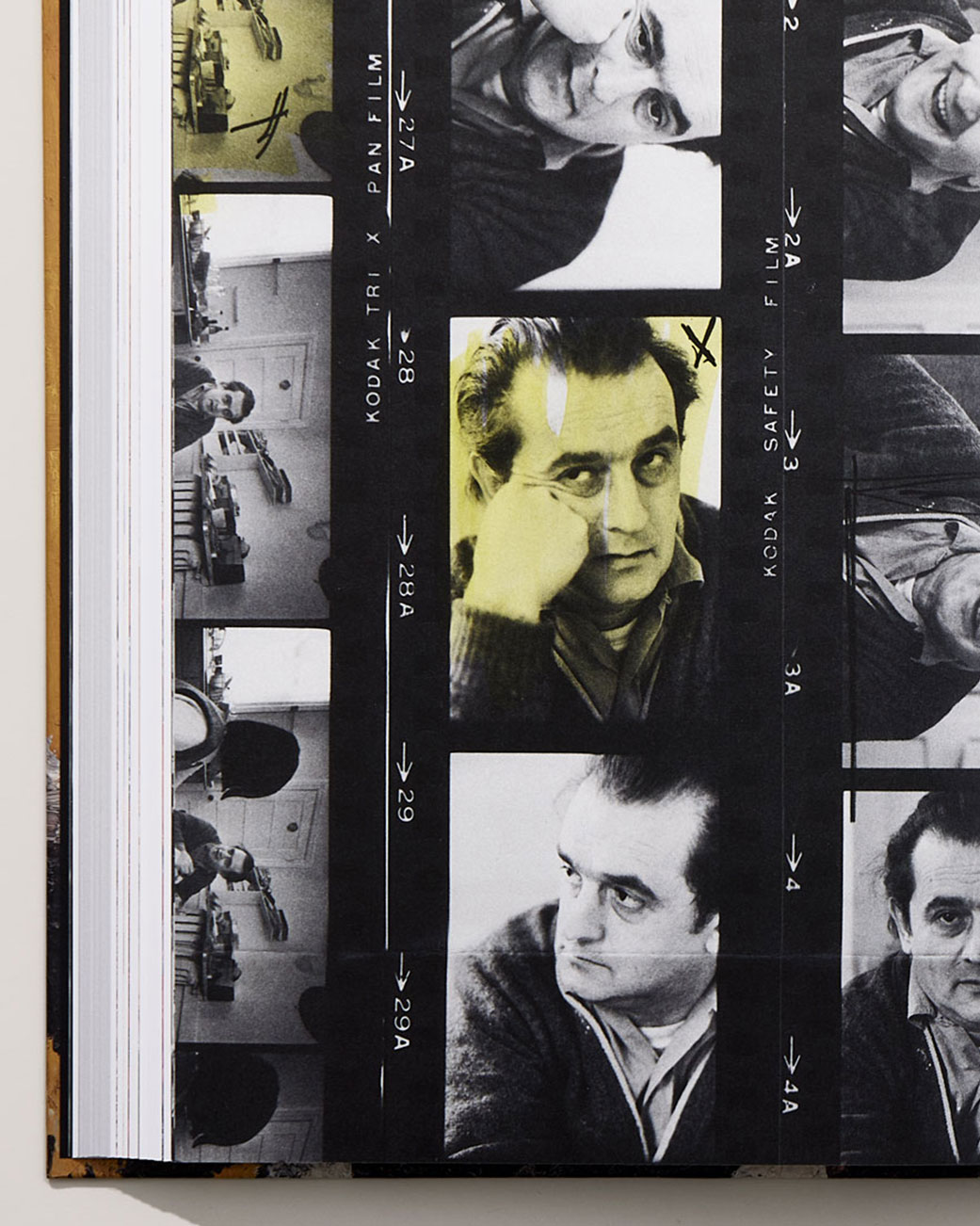 MashelTeitelbaum_BeautyTerror_TN3